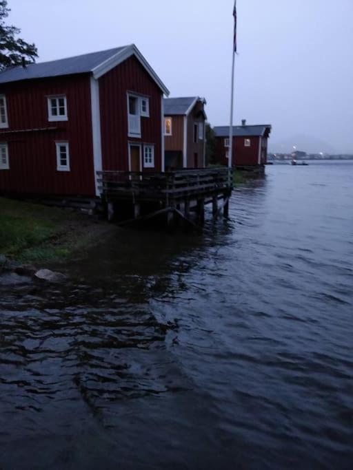 Sjogata Riverside Rental And Salmon Fishing Mosjoen Exterior photo